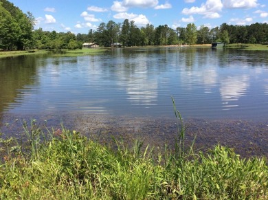 Lake Acreage For Sale in Andalusia, Alabama
