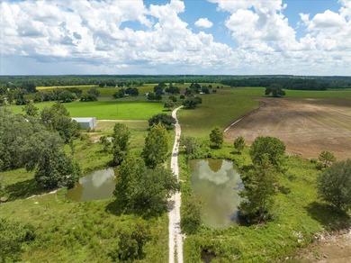 (private lake, pond, coastal) Acreage Sale Pending in Quitman Georgia