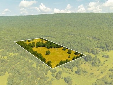 Homestead-Ready | Unrestricted | Exceptional Mountain Views - photo 2