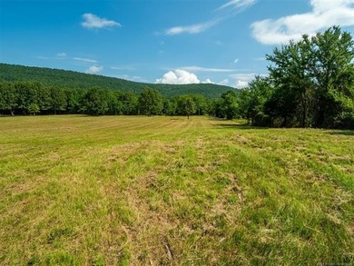 Homestead-Ready | Unrestricted | Exceptional Mountain Views - photo 5