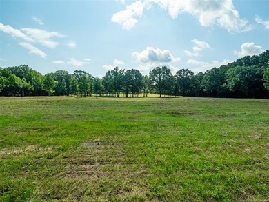 Homestead-Ready | Unrestricted | Exceptional Mountain Views - photo 6