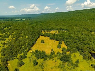 Homestead-Ready | Unrestricted | Exceptional Mountain Views - photo 10