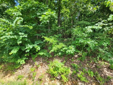 Lake Lot For Sale in Cherokee Village, Arkansas