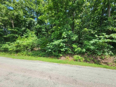 Lake Thunderbird, LAKE-VIEW LOT..e see the view from the point - photo 2