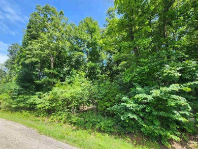 Lake Thunderbird, LAKE-VIEW LOT..e see the view from the point - photo 4