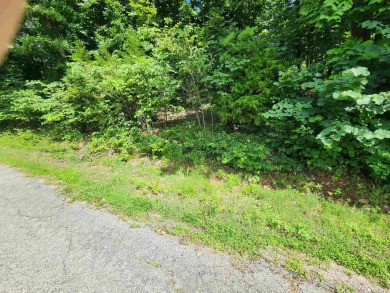 Lake Thunderbird, LAKE-VIEW LOT..e see the view from the point - photo 6