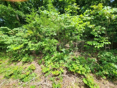 Lake Thunderbird, LAKE-VIEW LOT..e see the view from the point - photo 7