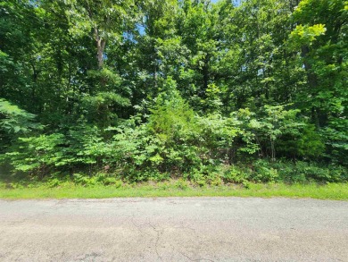 Lake Thunderbird, LAKE-VIEW LOT..e see the view from the point - photo 10
