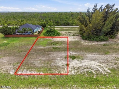 Come and build your dream home on this gorgeous lot surrounded - photo 3