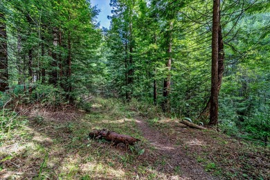 Nature lovers, do not miss this opportunity to own one of two - photo 22