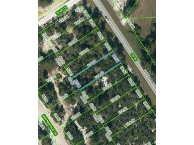 Lake Grassy Lot For Sale in Lake Placid Florida