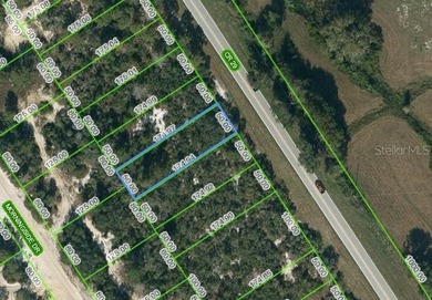Lake Grassy Lot For Sale in Lake Placid Florida