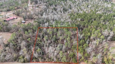 Lake Lot For Sale in Bainbridge, Georgia