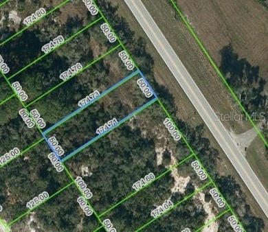 Lake Grassy Lot For Sale in Lake Placid Florida