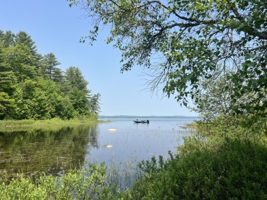 Lake Acreage For Sale in Waltham, Maine