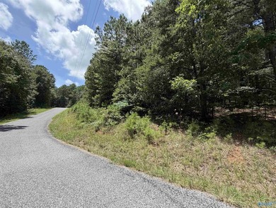 Don't miss viewing this property if you are planning to build - photo 1