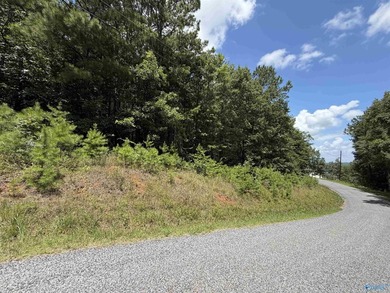 Don't miss viewing this property if you are planning to build - photo 2