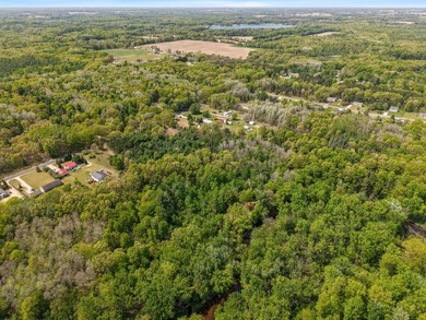 Beautiful 11-acre wooded parcel offering the perfect setting for - photo 7