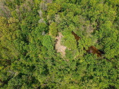 Beautiful 11-acre wooded parcel offering the perfect setting for - photo 10