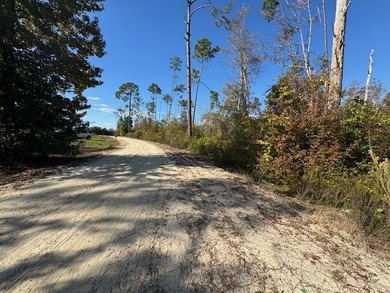 Dead Lake Lot For Sale in Kinard Florida