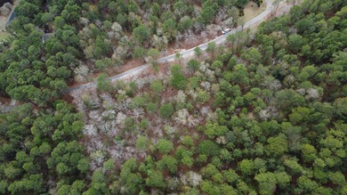 5 wooded acres located in highly sought after Edisto Lake - photo 11