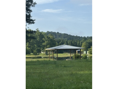 Point A Lake Lot For Sale in Andalusia Alabama