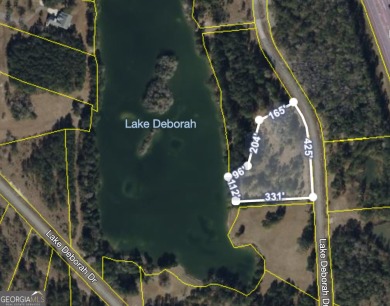 Lake Acreage For Sale in Folkston, Georgia