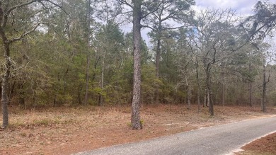 5 wooded acres located in highly sought after Edisto Lake - photo 12