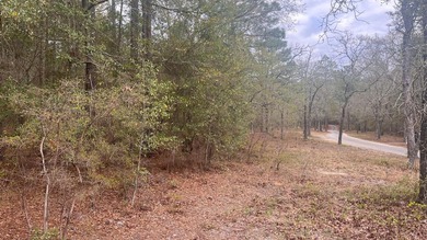 5 wooded acres located in highly sought after Edisto Lake - photo 13