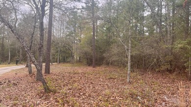 5 wooded acres located in highly sought after Edisto Lake - photo 14