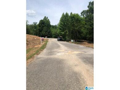 Pine Valley Lake Lot For Sale in Clanton Alabama