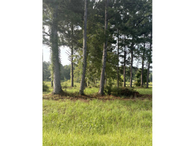 Point A Lake Lot For Sale in Andalusia Alabama