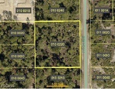 Lehigh Acres Area Lot For Sale in Lehigh Acres Florida