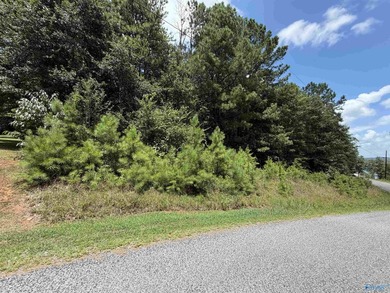 Don't miss viewing this property if you are planning to build - photo 1