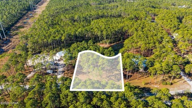 WATERFRONT LOT IN RIVERCAMPS: Make your new home in - photo 34