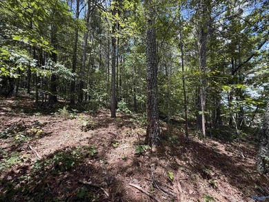 Don't miss viewing this property if you are planning to build - photo 4