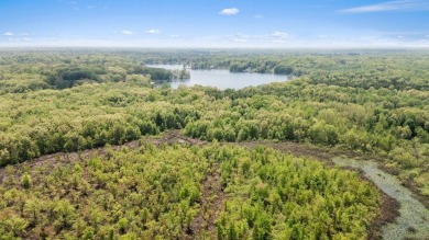 (private lake, pond, creek) Acreage For Sale in Gobles Michigan