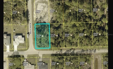 Lehigh Acres Area Lot For Sale in Lehigh Acres Florida