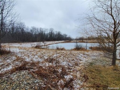 (private lake, pond, creek) Lot For Sale in Grand Blanc Michigan