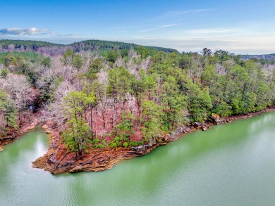 Rare opportunity to own 4 acres and 535 +/- feet of beautiful - Lake Lot For Sale in Double Springs, Alabama