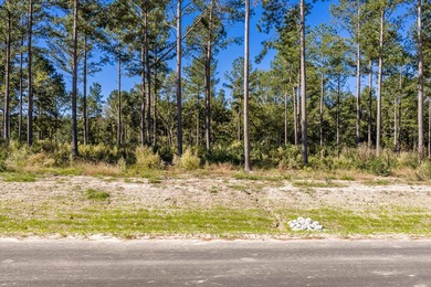 Welcome to Appling, Georgia's premier new luxury community! This - photo 5