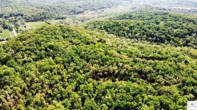 Here is a unique opportunity. Located just 3.7 miles (about 5 - photo 15