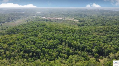 Here is a unique opportunity. Located just 3.7 miles (about 5 - photo 17