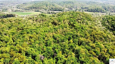 Here is a unique opportunity. Located just 3.7 miles (about 5 - photo 19