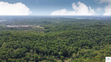 Here is a unique opportunity. Located just 3.7 miles (about 5 - photo 20
