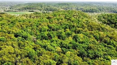 Here is a unique opportunity. Located just 3.7 miles (about 5 - photo 21