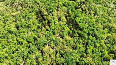Here is a unique opportunity. Located just 3.7 miles (about 5 - photo 24