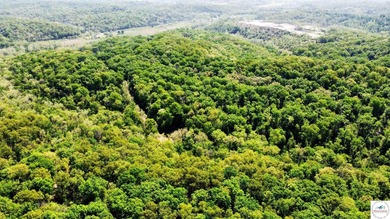 Here is a unique opportunity. Located just 3.7 miles (about 5 - photo 26