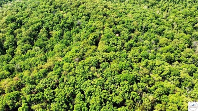 Here is a unique opportunity. Located just 3.7 miles (about 5 - photo 28