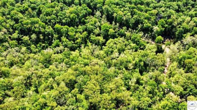 Here is a unique opportunity. Located just 3.7 miles (about 5 - photo 29